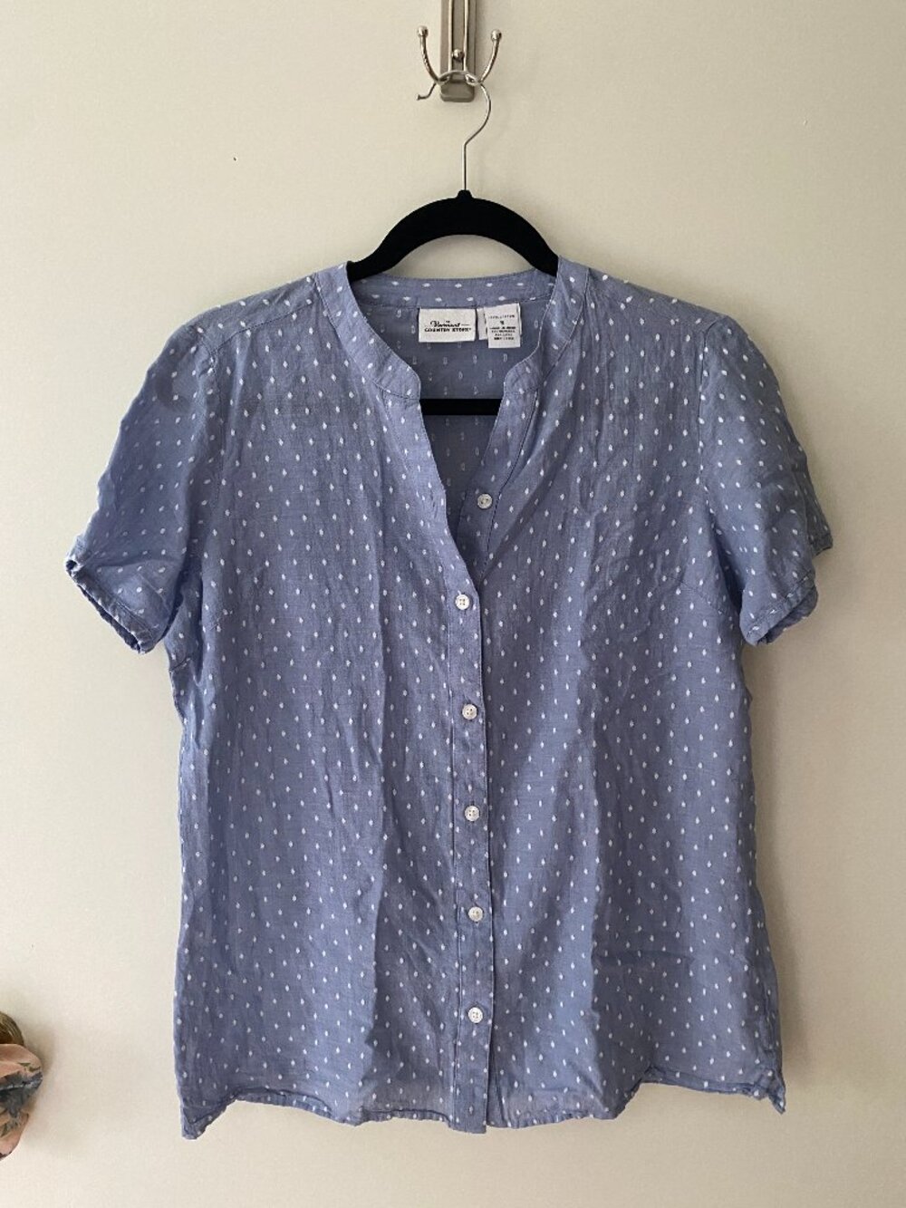 Blue polka dot blouse